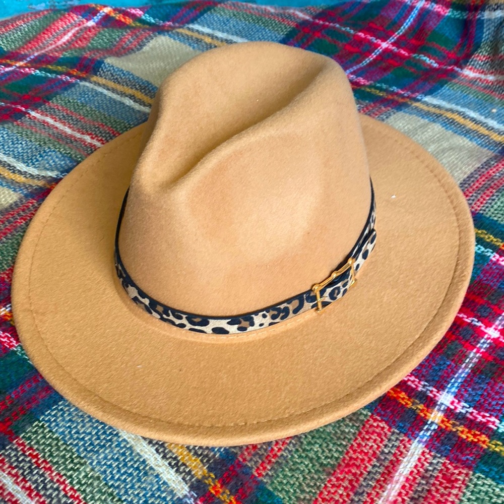 Fashion Hat